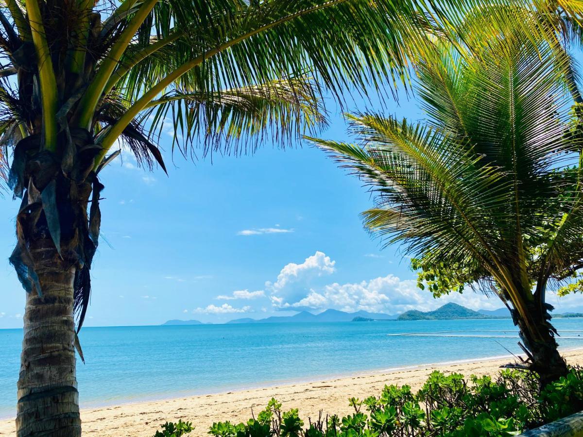 Beachview Apartments At Villa Paradiso Palm Cove Eksteriør billede